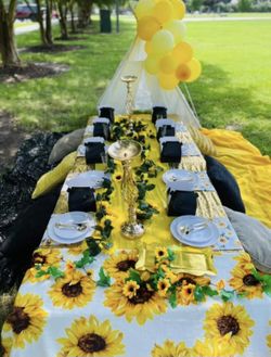 Picnic set Up