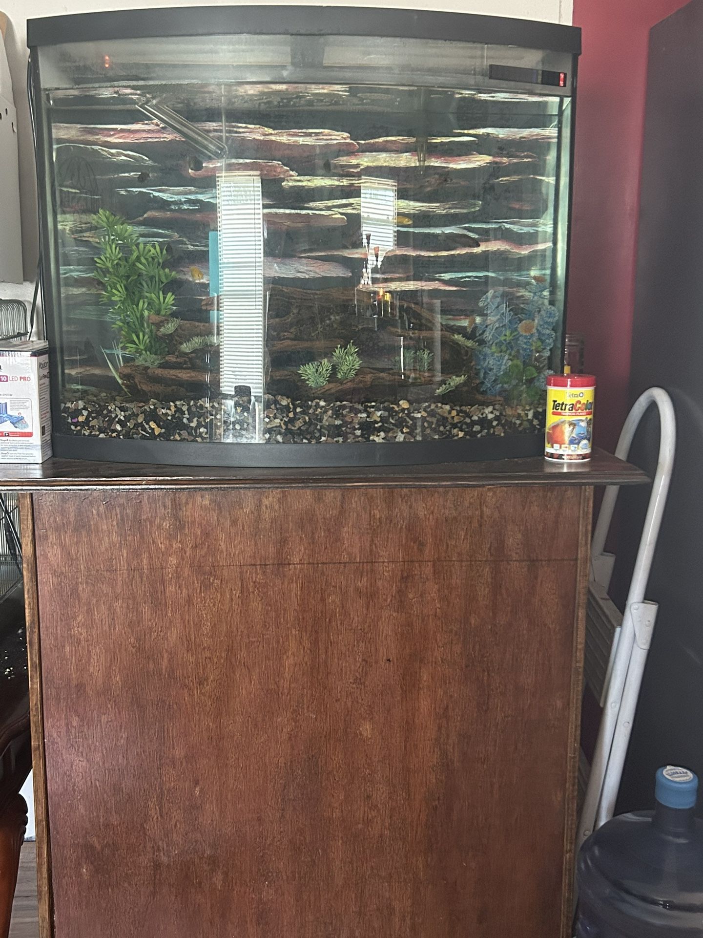 40 Gal Bowfront Fish tank  With Everything 