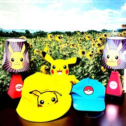 Pokémon Pikachu Lot (5 Items)