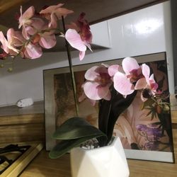 Orchid That Looks Real 