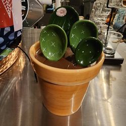 Ceramic Cactus Measuring Cup & Spoon Set