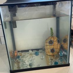 Small Fish Tank With Supplies