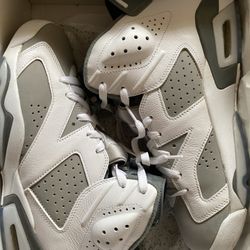 Jordan 6 Cool Greys