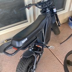 Electro & Co Rizzler E Bike 