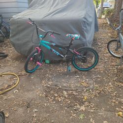 20inch  Tempest Pro 20 Bike 