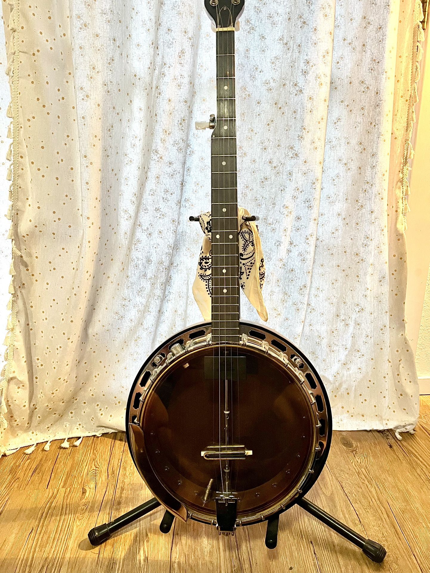Dean Backwoods 2 Pro Banjo