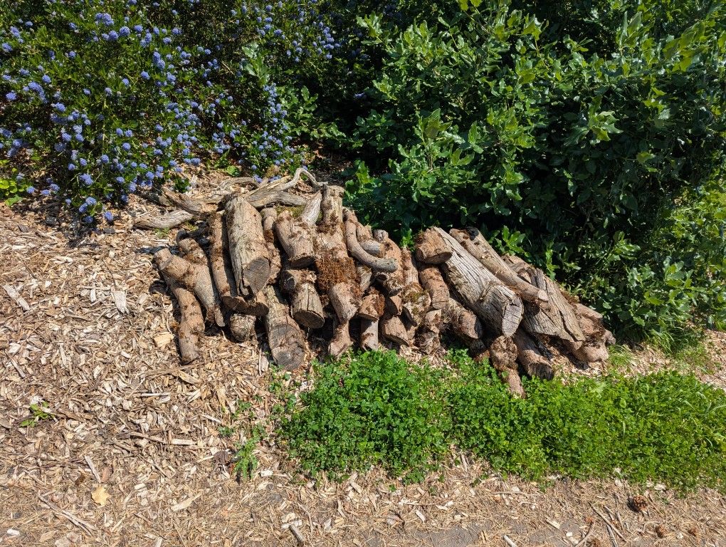 Logs, Some Scrap Lumber, Bulbs