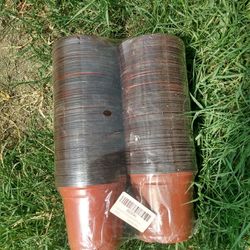 200 ,,4 Inch Pots 
