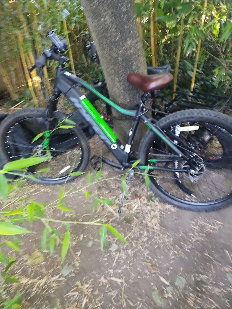 Electric Assist Bike