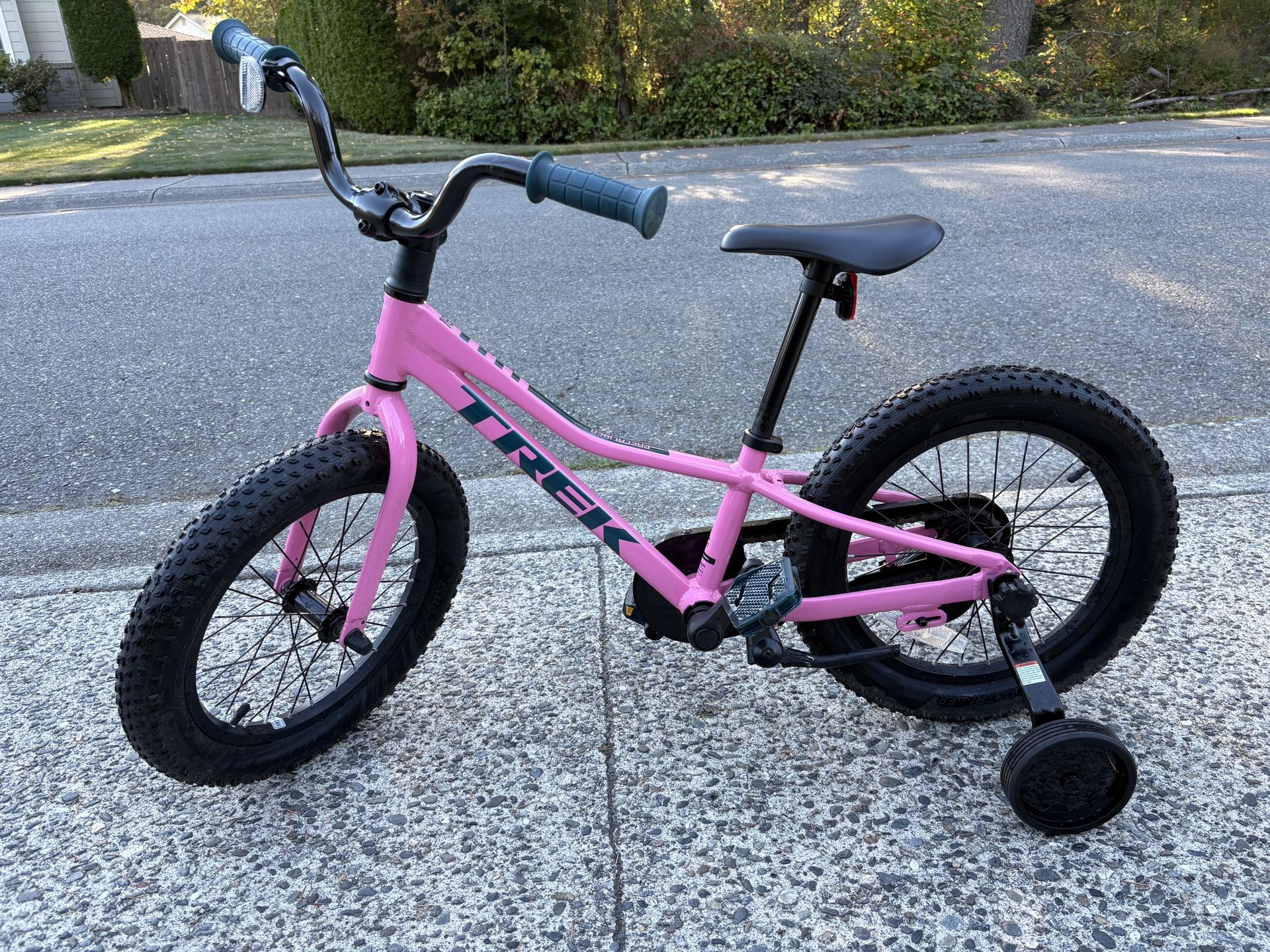 Trek Kids Bike