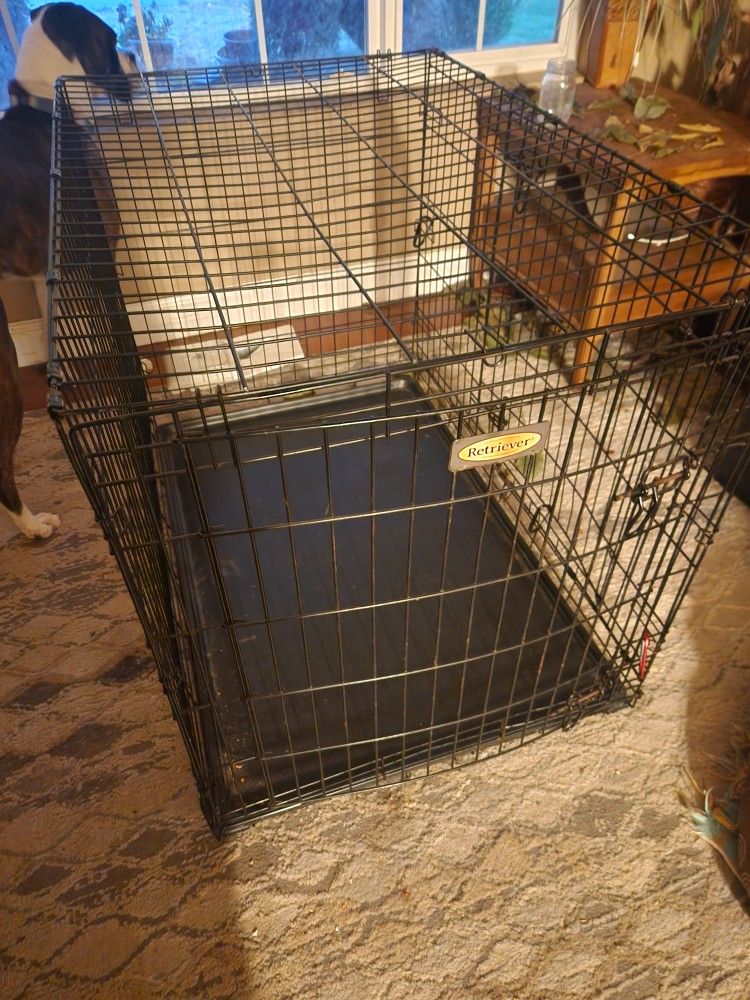 Large Dog Crate.
