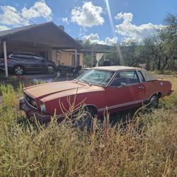 1976 Mustang For Sale 