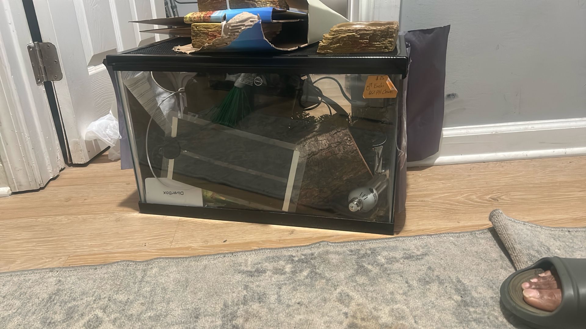 10 Gallon Tank