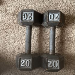 Dumbbell 20lbs Weight 