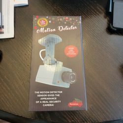 FAKE VIDEO CAMERAS