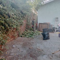 Landscape And Gardening