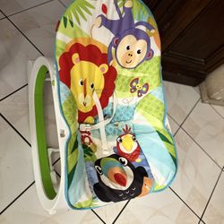 Baby Bouncer