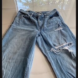 Levi’s Premium Baggy Dad Jeans