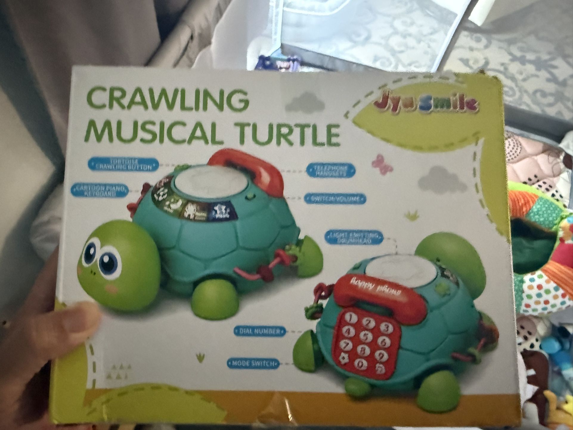 Crawling Musical Turtle