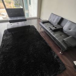 Sectional Couch And Rug