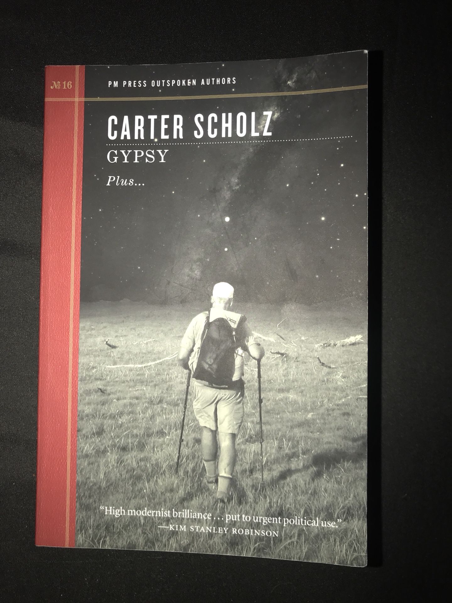 Gypsy by Carter Scholz