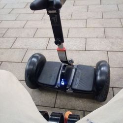 Ninebot Mini Pro
