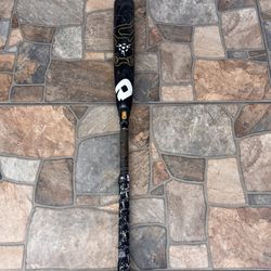 Baseball Bat 