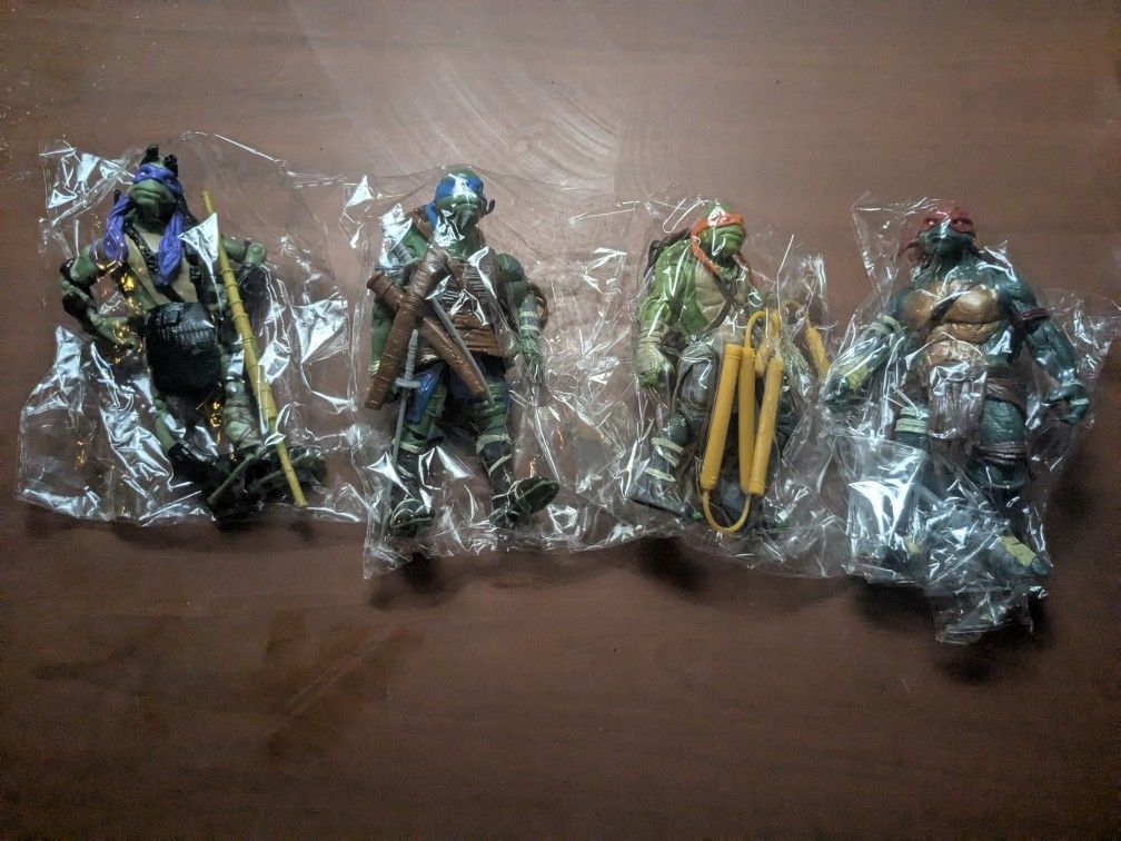 Teenage Mutant Ninja Turtle