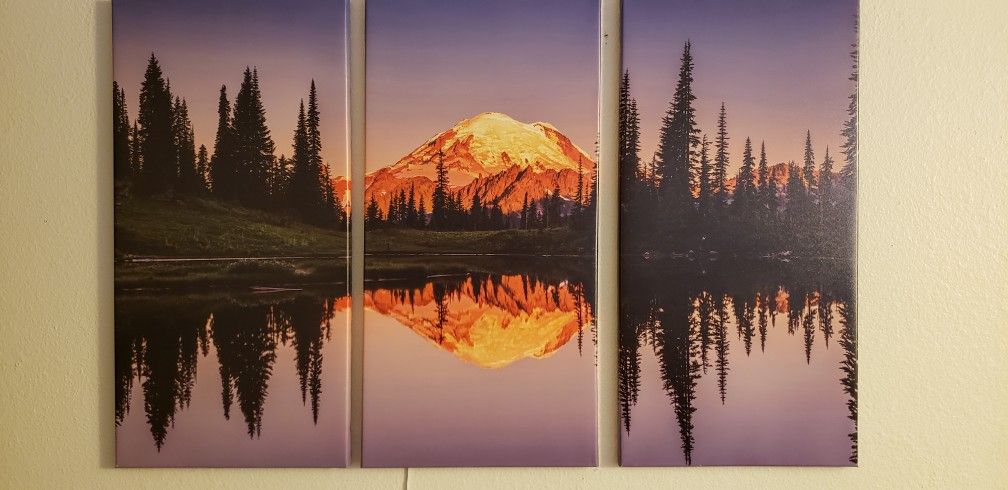 Mt. Rainier Canvas
