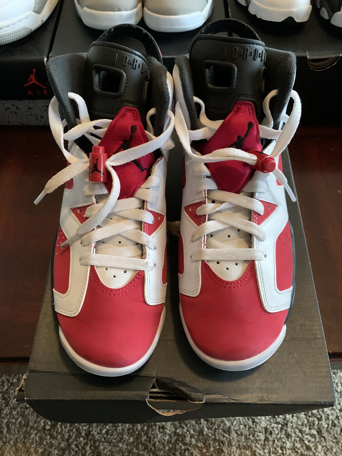 Jordan Carmine 6s 