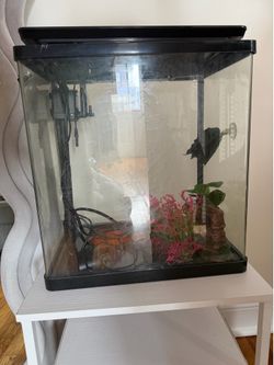 8 Gallon Glass Aquarium Tank - 7 LED Light Colors (Black)