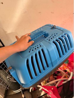 Dog/Cat Kennel