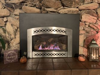 Gas Fireplace Insert With Cover 