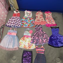 Barbie  life in the dreamhouse  dress