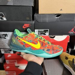 Kobe 8 Protro WT size 11.5 VNDS