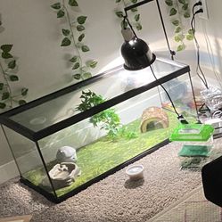 Gecko Or Snake Terrarium 