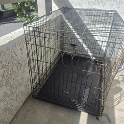 Dog Cage 