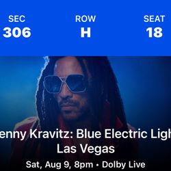Lenny Kravits Concert 