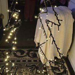  Christmas Light Tree