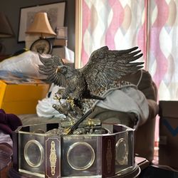 Morgan Dollar Display