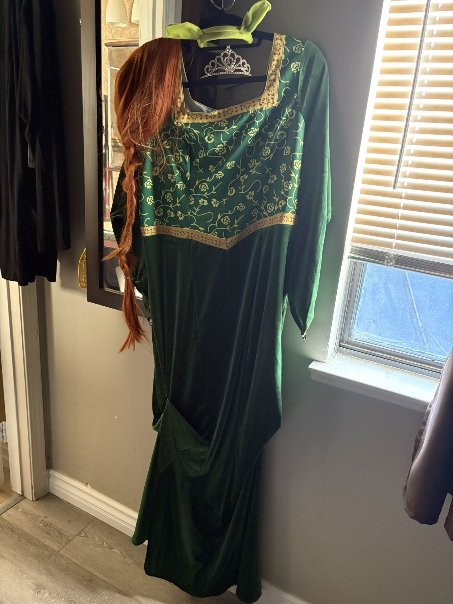 Fiona Halloween Costume