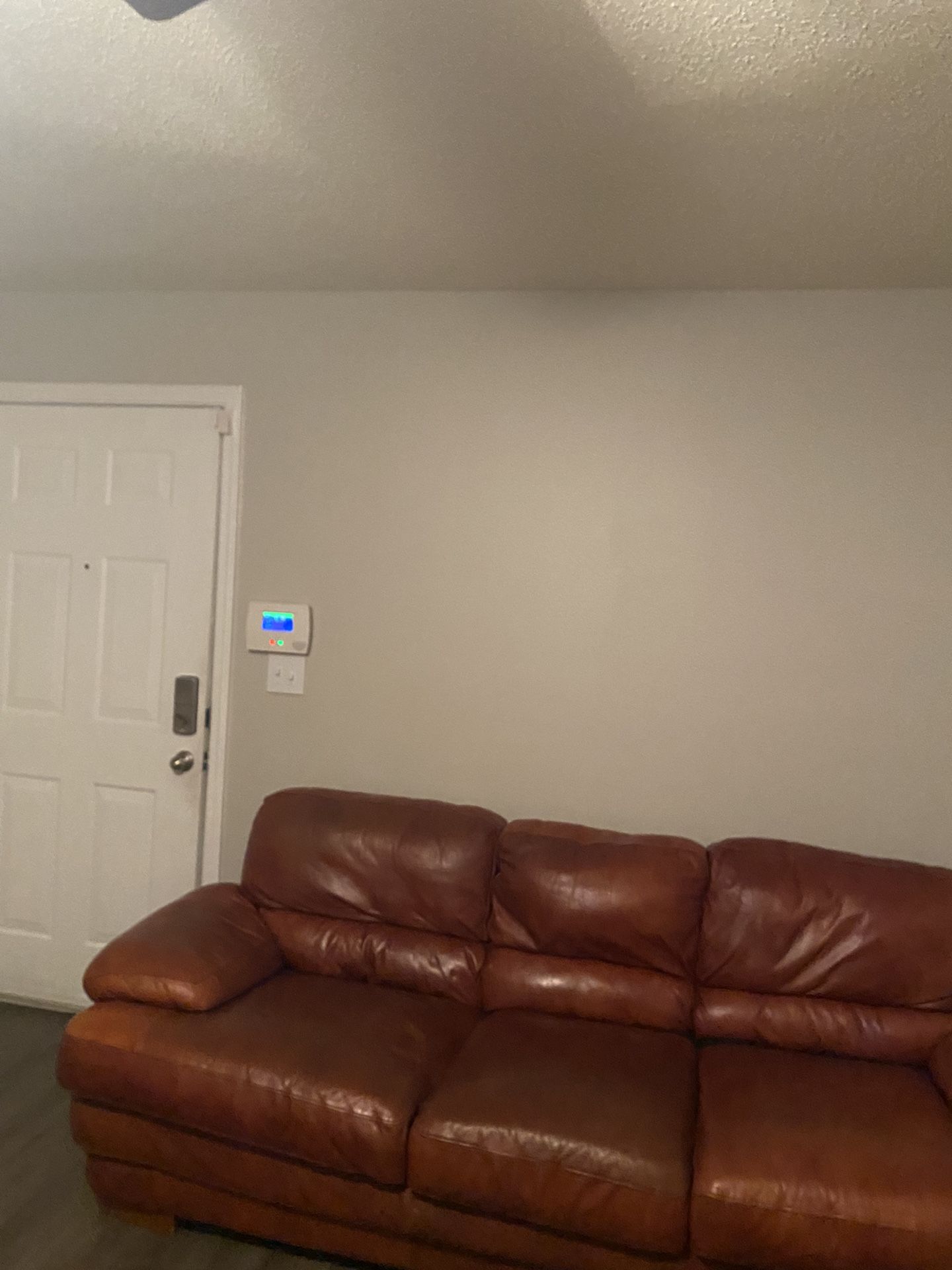 Leather Couch