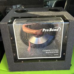 12” 🔊 Subwoofer 