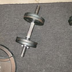 Weights 