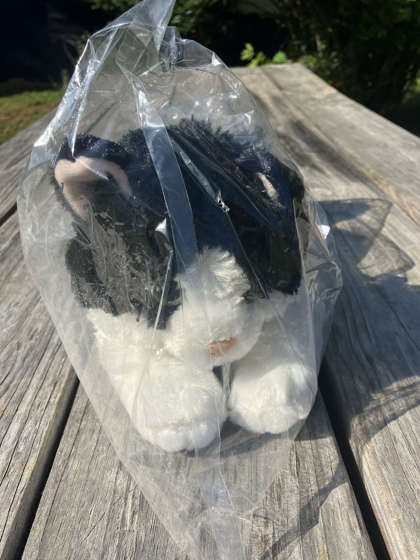 Aurora Flopsie Plush Cats (new)