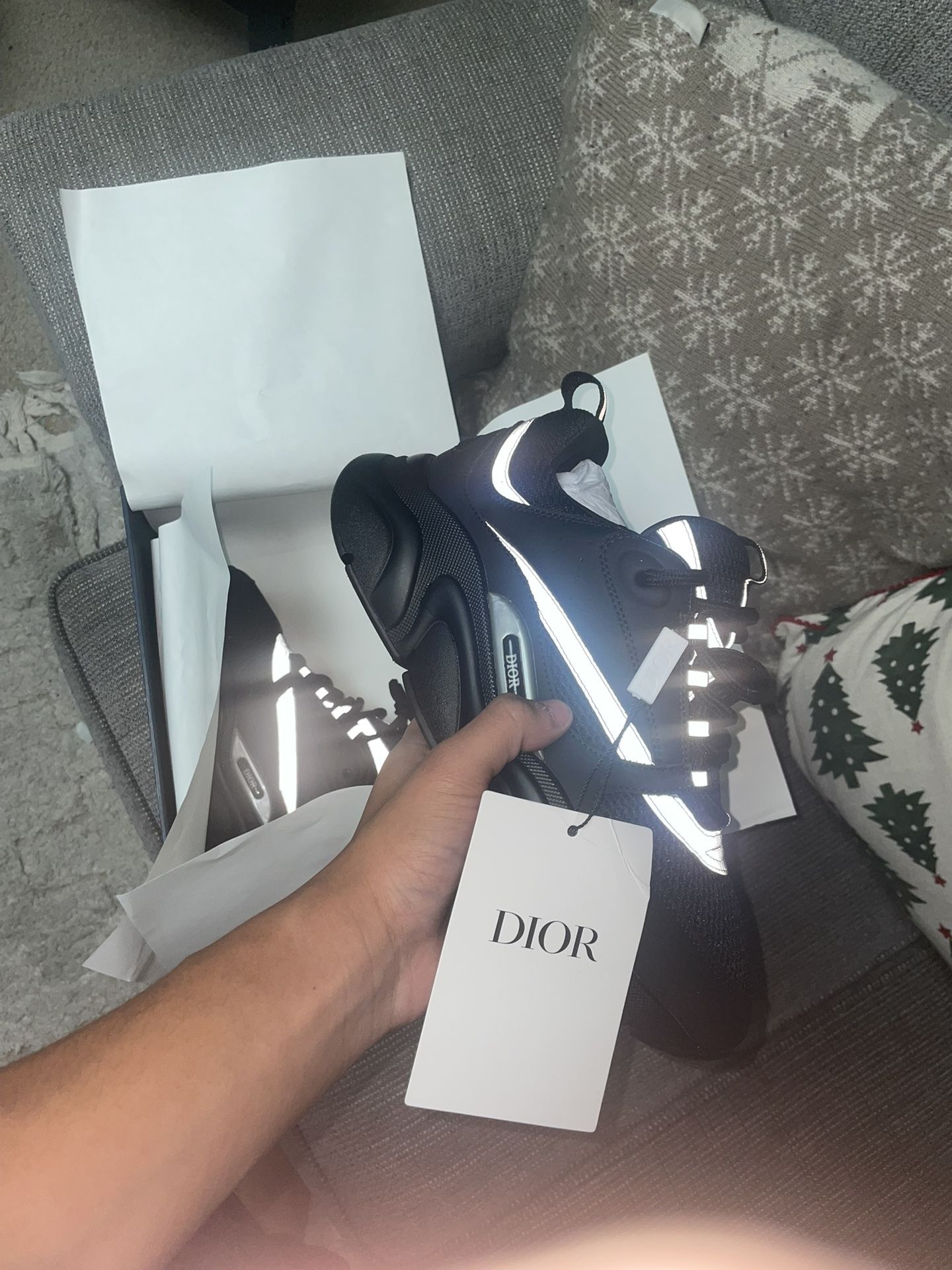 Dior B22