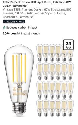 24 8 W vintage Edison lightbulbs