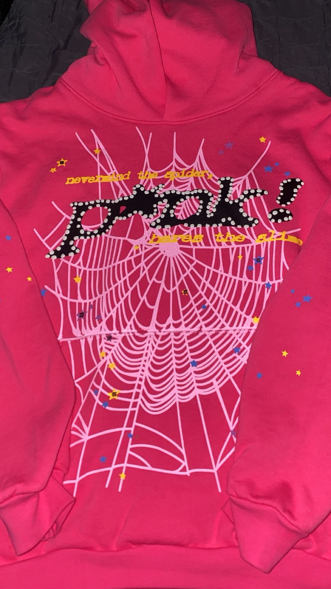 spider 