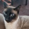 Sam