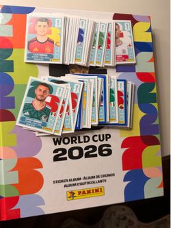 Panini Stickers Duplicates (TRADES)